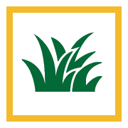 Protect Against Damage